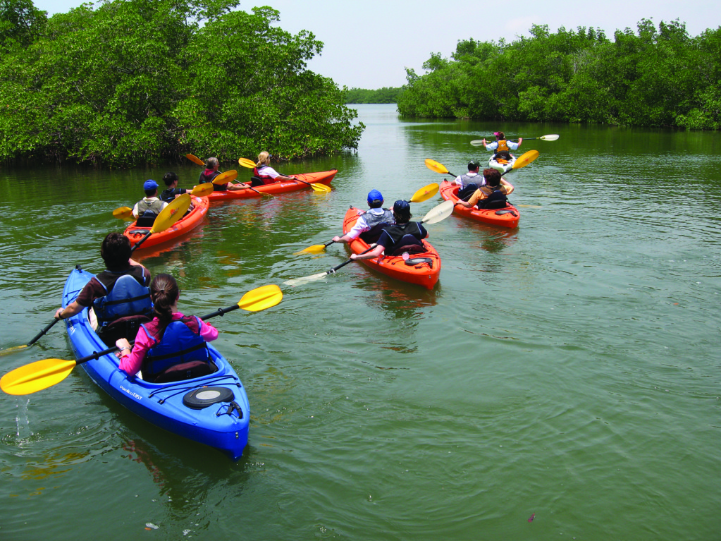 group kayaking