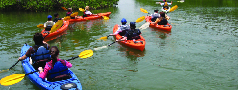 Mayem Lake Promotion, Goa Tourism Development Corporation Activities